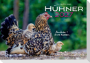 Hühner Kalender 2027