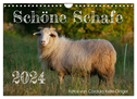 Schöne Schafe (Wandkalender 2024 DIN A4 quer), CALVENDO Monatskalender