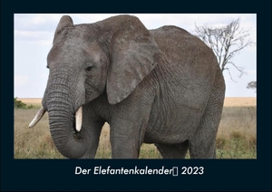 Tobias Becker. Der Elefantenkalender 2023 Fotokalender DIN A4 - Monatskalender mit Bild-Motiven von Haustieren, Bauernhof, wilden Tieren und Raubtieren. Vero Kalender, 2022.