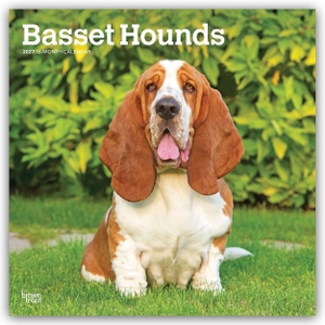 Publishers, Browntrout. Basset Hounds 2027 - 16-Monatskalender - Original BrownTrout-Kalender [Mehrsprachig] [Kalender]. Browntrout Verlags GmbH, 2026.