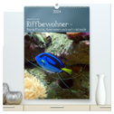 Riffbewohner - Bunte Fische, Anemonen und noch viel mehr (hochwertiger Premium Wandkalender 2024 DIN A2 hoch), Kunstdruck in Hochglanz