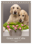 Grace und Cuba - Zwei liebenswerte Golden Retriever (Tischkalender 2024 DIN A5 hoch), CALVENDO Monatskalender