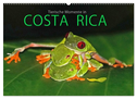COSTA RICA - Tierische Momente (Wandkalender 2024 DIN A2 quer), CALVENDO Monatskalender