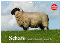 Schafe zählen leicht gemacht! (Wandkalender 2024 DIN A4 quer), CALVENDO Monatskalender