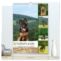 Schäferhunde Langstockhaar zum verlieben (hochwertiger Premium Wandkalender 2024 DIN A2 hoch), Kunstdruck in Hochglanz