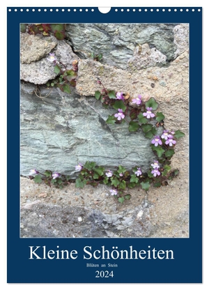 Zapf, Gabi. Kleine Schönheiten an Stein (Wandkalender 2024 DIN A3 hoch), CALVENDO Monatskalender - Kleine Blüten auf dem Weg zur Achtsamkeit.. Calvendo, 2023.