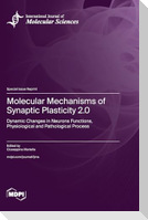 Molecular Mechanisms of Synaptic Plasticity 2.0