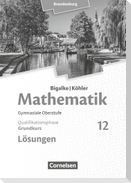 Bigalke/Köhler: Mathematik - 12. Schuljahr - Grundkurs - Brandenburg - Lösungen zum Schülerbuch