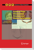 Guide to Three Dimensional Structure and Motion Factorization
