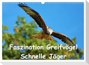 Faszination Greifvögel Schnelle Jäger (Wandkalender 2025 DIN A3 quer), CALVENDO Monatskalender