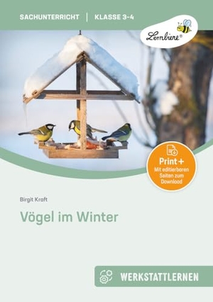 Kraft, Birgit. Vögel im Winter - (3. und 4. Klasse). Lernbiene Verlag i.d. AAP, 2022.