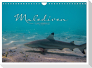 Unterwasserwelt der Malediven I (Wandkalender 2025 DIN A4 quer), CALVENDO Monatskalender