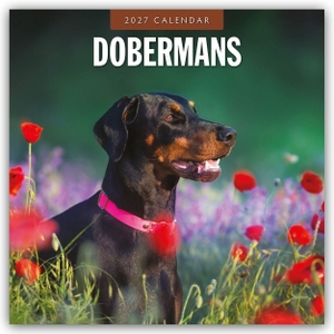 Red, Robin. Dobermans - Dobermann 2027 - 16-Monatskalender - Original Red Robin Publishing Ltd-Kalender [Mehrsprachig] [Kalender]. Browntrout Verlags GmbH, 2026.