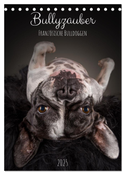 Bullyzauber - Französische Bulldoggen (Tischkalender 2025 DIN A5 hoch), CALVENDO Monatskalender