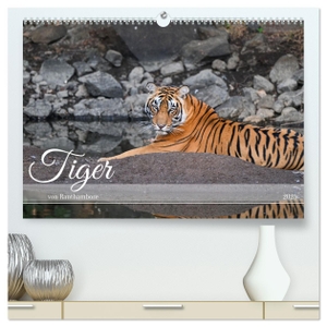 Styppa, Robert. Tiger von Ranthambore (hochwertiger Premium Wandkalender 2025 DIN A2 quer), Kunstdruck in Hochglanz - Wilde Raubkatzen hautnah. Calvendo, 2024.