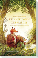 Erinnerungen des Waldes