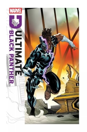 Hill, Bryan. Ultimate Black Panther By Bryan Hill Vol. 4: Destiny and Destruction. Marvel Comics, 2026.