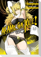 Akame, Keser 12