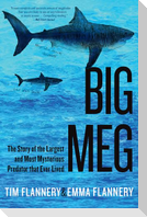 Big Meg