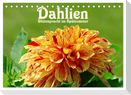 Dahlien - Blütenpracht im Spätsommer (Tischkalender 2025 DIN A5 quer), CALVENDO Monatskalender