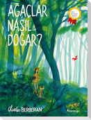 Agaclar Nasil Dogar