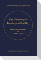 The Geometry of Topological Stability