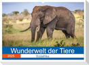 Wunderwelt der Tiere - Südafrika (Wandkalender 2025 DIN A2 quer), CALVENDO Monatskalender