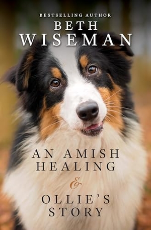 Wiseman, Beth. An Amish Healing & Ollie's Story. Gale, a Cengage Group, 2025.