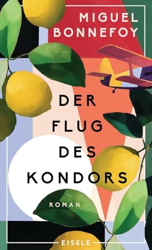Bonnefoy, Miguel. Der Flug des Kondors - Roman | Eine epische Familiengeschichte zwischen Chile und Frankreich voller erzählerischer Wucht | Bildgewaltiger magischer Realismus. Julia Eisele Verlag GmbH, 2026.