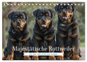 Majestätische Rottweiler: Ein Jahr voller Kraft und Loyalität (Tischkalender 2024 DIN A5 quer), CALVENDO Monatskalender