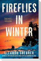 Fireflies in Winter