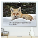 Wildtiere Nordamerikas (hochwertiger Premium Wandkalender 2024 DIN A2 quer), Kunstdruck in Hochglanz