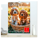 Cocker Spaniel - ein Hund für die Familie (hochwertiger Premium Wandkalender 2025 DIN A2 hoch), Kunstdruck in Hochglanz