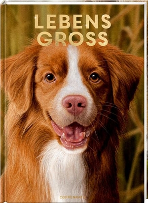 Knop, Raphael. Lebensgroß - Hunde, unsere Gefährten. Coppenrath, 2026.