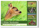 Wilder Nordosten - Aug in Aug mit Tieren der Ostseeregion (Wandkalender 2024 DIN A2 quer), CALVENDO Monatskalender