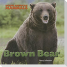 Brown Bear