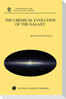 The Chemical Evolution of the Galaxy