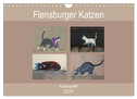 Flensburger Katzen (Wandkalender 2025 DIN A4 quer), CALVENDO Monatskalender