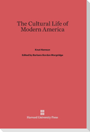 The Cultural Life of Modern America