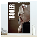 Boxer - Charmante Charakterköpfe (hochwertiger Premium Wandkalender 2024 DIN A2 hoch), Kunstdruck in Hochglanz