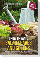 Grow Organic Salad Leaves and Greens