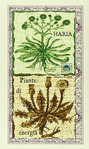 Haria. Piante di energia. , 2005.
