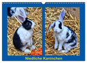Niedliche Kaninchen (Wandkalender 2024 DIN A3 quer), CALVENDO Monatskalender