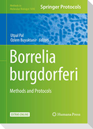 Borrelia burgdorferi