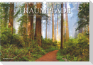 Traumpfade 2027