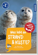 Was lebt an Strand und Küste? Kindernaturführer