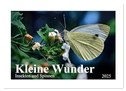 Kleine Wunder - Insekten und Spinnen (Wandkalender 2025 DIN A2 quer), CALVENDO Monatskalender
