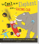 You Can't Let an Elephant Drive a Racing Car