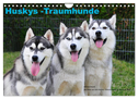 Huskys - Traumhunde (Wandkalender 2024 DIN A4 quer), CALVENDO Monatskalender