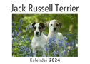 Jack Russell Terrier (Wandkalender 2024, Kalender DIN A4 quer, Monatskalender im Querformat mit Kalendarium, Das perfekte Geschenk)